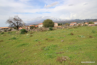 ammena-26-02-2023 14-10-39